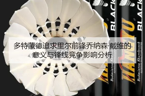 多特蒙德追求里尔前锋乔纳森·戴维的意义与锋线竞争影响分析