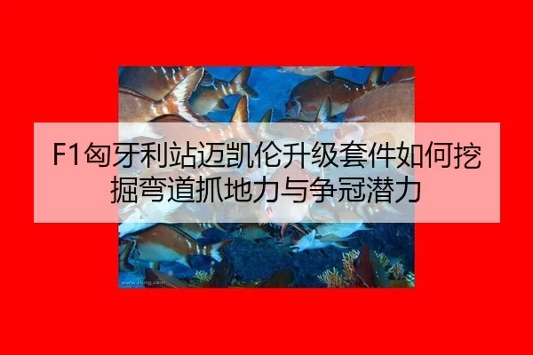 xiong-ya-li-zhan-mai-kai-lun-sheng-ji-tao-jian-ru-he-wa-jue-wan-dao-zhua-di-li-yu-zheng-guan-qian-li-2-629.jpg