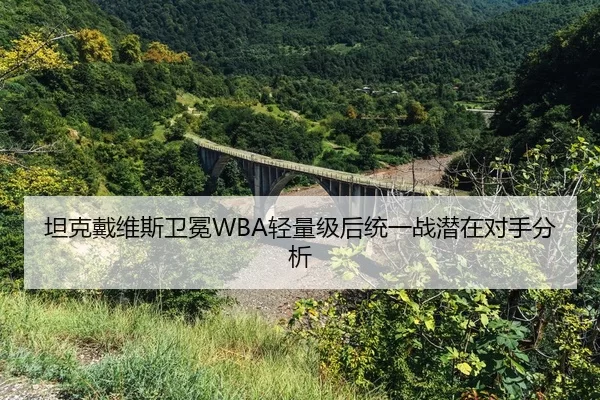 tan-ke-dai-wei-si-wei-mian-qing-liang-ji-hou-tong-yi-zhan-qian-zai-dui-shou-fen-xi-2-286.jpg