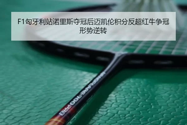 xiong-ya-li-zhan-nuo-li-si-duo-guan-hou-mai-kai-lun-ji-fen-fan-chao-hong-niu-zheng-guan-xing-shi-ni-zhuan-3-586.jpg