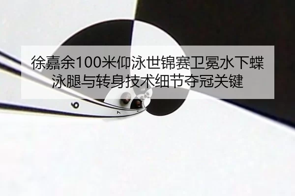 xu-jia-yu-mi-yang-yong-shi-jin-sai-wei-mian-shui-xia-die-yong-tui-yu-zhuan-shen-ji-shu-xi-jie-duo-guan-guan-jian-3-141.jpg